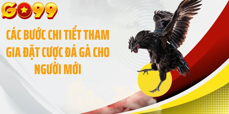 Các bước chi tiết tham gia đặt cược đá gà cho người mới