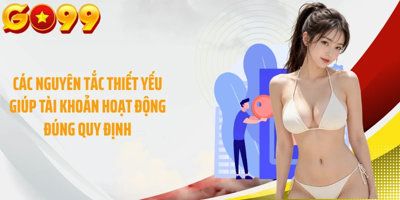 Các nguyên tắc thiết yếu giúp tài khoản hoạt động đúng quy định