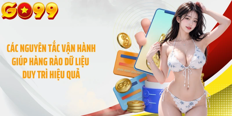 Các nguyên tắc vận hành giúp hàng rào dữ liệu duy trì hiệu quả