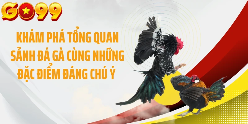 Khám phá tổng quan sảnh đá gà cùng những đặc điểm đáng chú ý