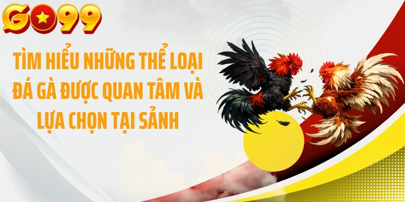 Tìm hiểu những thể loại đá gà được quan tâm và lựa chọn tại sảnh